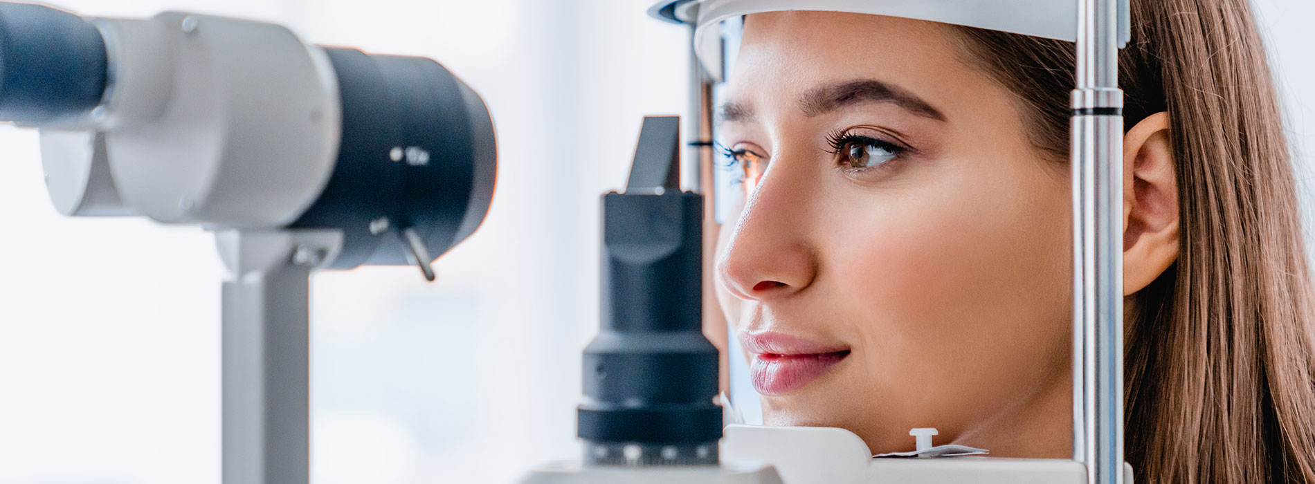 Mt Ivy Designer Frames